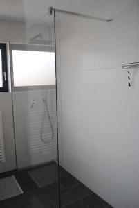um chuveiro com uma porta de vidro na casa de banho em Ferienwohnung Klosterblick em Ühlingen-Birkendorf