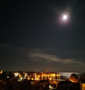 een maanlicht uitzicht op een stad en de oceaan in de nacht bij Sea view apartment Poreč in Poreč