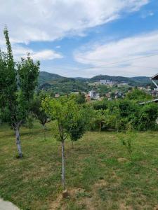 Příroda nedaleko apartmánu
