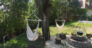 Vonkajšia záhrada v ubytovaní Forest House Balaton