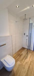 a bathroom with a toilet and a shower at Hotel Spreeufer in Lübben +25 photos