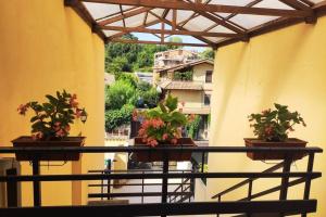 a balcony with three potted plants on a railing at Large house 3 floors City 'n sea in Vitinia