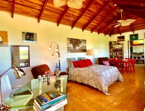 sypialnia z łóżkiem z czerwonymi poduszkami w obiekcie Magic Mountain Views Studio w mieście Atenas