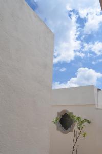 a window on the side of a building with a plant at Hermosa Suite Privada en Casa Holística in Cuernavaca