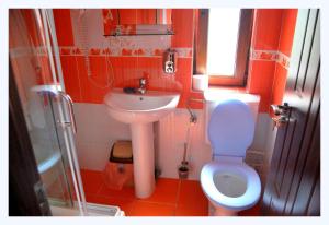 La petite salle de bains est pourvue de toilettes et d'un lavabo. dans l'établissement Pensiunea Pluto Sulina, à Sulina
