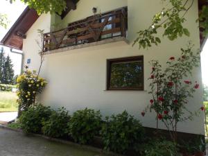 Zahrada ubytování Apartments Smirnov