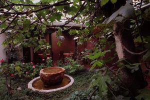 Zahrada ubytování Hotel Ines Maria