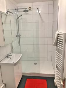 ein Badezimmer mit Dusche und Waschbecken in der Unterkunft FeWo Rose - Mitten im Herz Goslar in Goslar