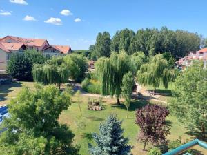 Zahrada ubytování Cserke Napfény Apartman