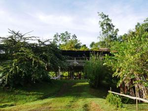 uma vista para a casa a partir do jardim em Albergue La Laguna em Puerto Jiménez