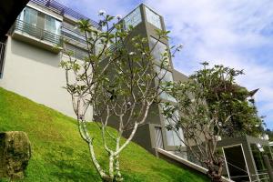 Jardí fora de Sky Pavilion