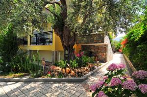 una casa con un árbol y flores delante de ella en Erodios Studios, en Skala Kallirakhis