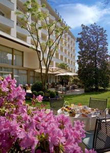Zahrada ubytování Hotel Bristol Buja