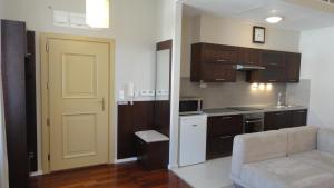 Kuchyňa alebo kuchynka v ubytovaní Horvath Villa Apartman