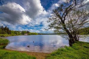 Príroda v okolí apartmánu