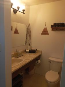 a bathroom with a sink and a toilet at Village Center 2 bedroom Condo in Big White +19 photos