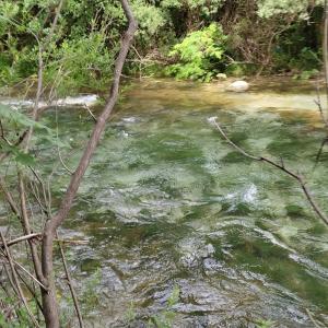 a stream of water with trees in the background at la masseria di Antonio e Teresina in Colli al Volturno