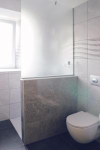 ein Badezimmer mit einem weißen WC und einer Dusche in der Unterkunft APARTMA KMETIJA ROVAN in Vrhpolje
