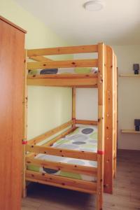a bunk bed in a room with a bunk bed in a room at APARTMA KMETIJA ROVAN in Vrhpolje