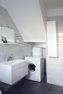 a white bathroom with a washing machine and a sink at APARTMA KMETIJA ROVAN in Vrhpolje