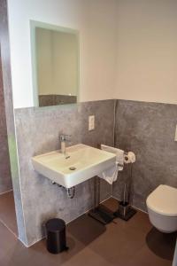 a bathroom with a sink and a toilet at Chalet Seebauer in Neunburg vorm Wald