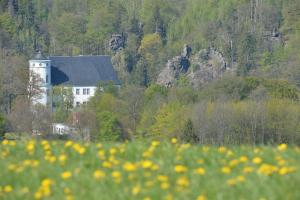 une grande maison blanche au milieu d'un champ de fleurs dans l'établissement Biohof Seifert, à Kurort Altenberg