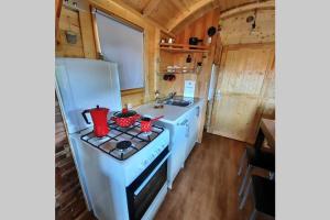 a kitchen with a white stove top oven next to a refrigerator at Autarkes Tiny House mit Rheinblick in Rümikon