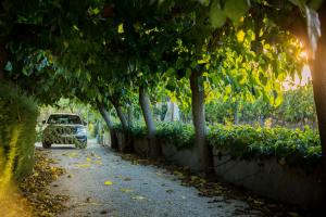 Fotografia z galérie ubytovania CASA RURAL Somnis del Montsant v destinácii Marçà