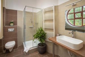 a bathroom with a sink and a toilet and a shower at Furmint Ház in Mád