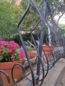 a row of park benches sitting next to flowers at Albamare in Monterosso al Mare