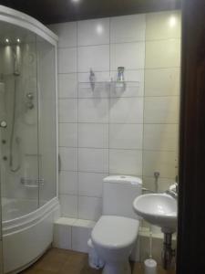 La salle de bains est pourvue de toilettes et d'un lavabo. dans l'établissement Zielony Zakątek, à Iława