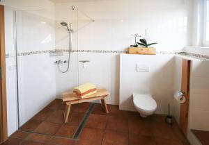 łazienka z toaletą i prysznicem w obiekcie Ferienhaus Villa Maria / Ferienwohnung Chippendale w mieście Kurort Gohrisch