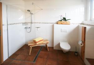 a bathroom with a toilet and a shower at Ferienhaus Villa Maria - Ferienwohnung Chippendale in Kurort Gohrisch +5 photos