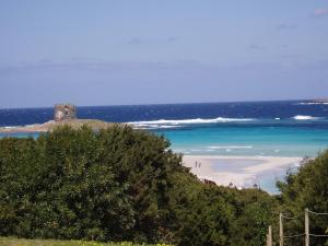a view of a beach with a tower on a hill at Rocca Ruja Vip in Stintino