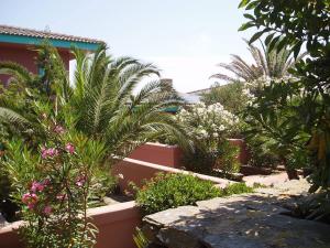 a garden with palm trees and plants and a building at Rocca Ruja Vip in Stintino
