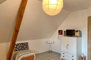 TV a/nebo společenská místnost v ubytování Le papillon,Logement cosy en Alsace