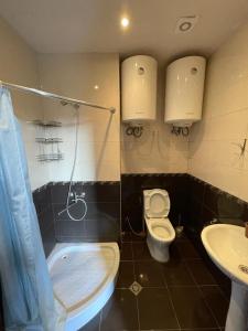 Koupelna v ubytování Guesthouse Mestia 32