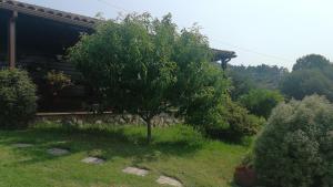 Zahrada ubytování VILLA LAURA