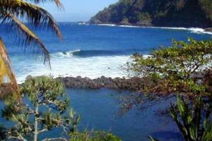 uma vista para uma praia com árvores e o oceano em Studio le Ti coin Charmant em Saint-Joseph