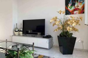 salon z telewizorem i wazonem z kwiatami w obiekcie apartamento plaza del parque w mieście Villanueva de Arosa