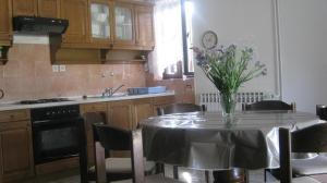 Virtuve vai virtuves zona naktsmītnē Apartments Grzunov