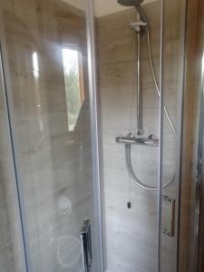 a shower with a glass door in a bathroom at Elena Rooms in Campobasso