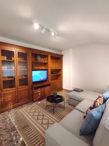a living room with a couch and a tv at Avenida 37 in Caldas de Reis