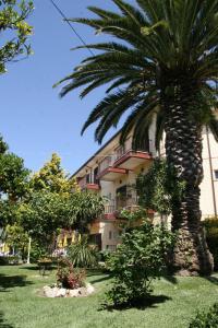 a palm tree in front of a building at Arcada Hotel in Tocha