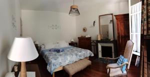 a bedroom with a bed and a lamp and a fireplace at Chambres d'hôtes VILLA ALEXINA in Trôo