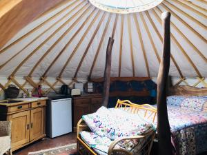Cotswolds Camping at Holycombe的厨房或小厨房