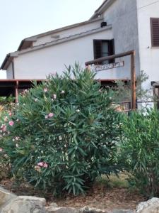 Zahrada ubytování Agriturismo I Due Pini