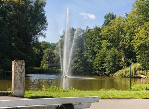 een fontein in het midden van een vijver bij Apartment am Kurpark in Wilhelmshaven