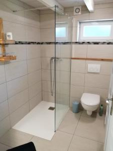 a bathroom with a shower and a toilet at Maison à la campagne in Lyaud