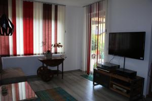 TV a/nebo společenská místnost v ubytování Ferienwohnung Palme + 3 fotografie